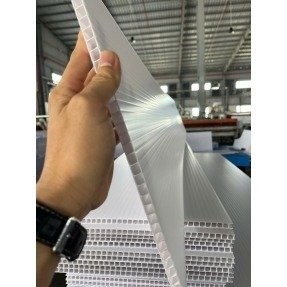 Standard PP Corrugated Hollow Danpla Sheet